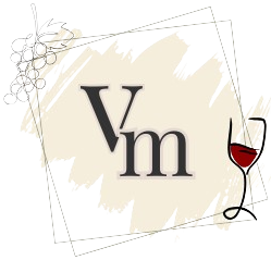 logo vinsma